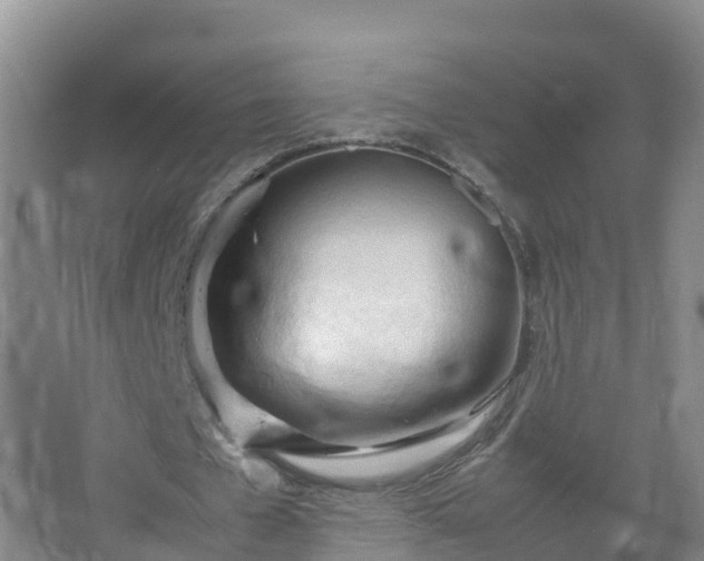 X0000067520577200604150202