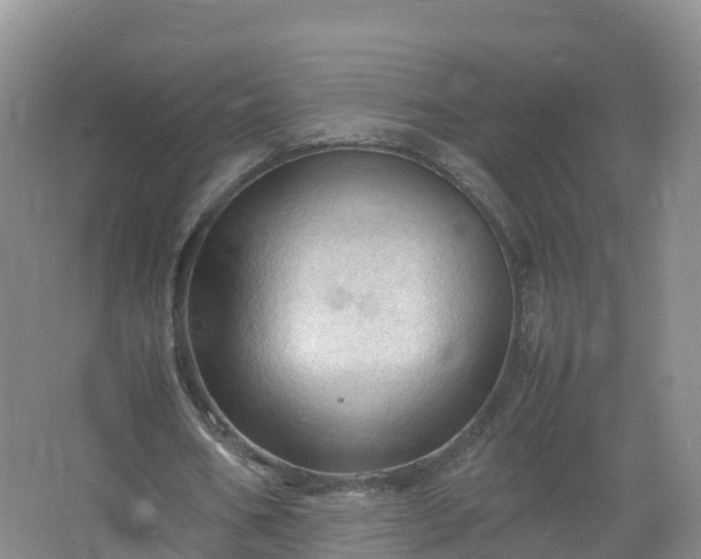 X0000067520578200604150202