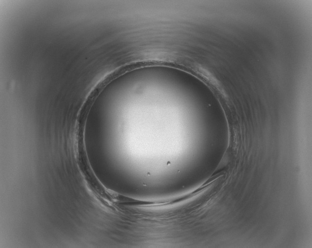 X0000067520580200604150202