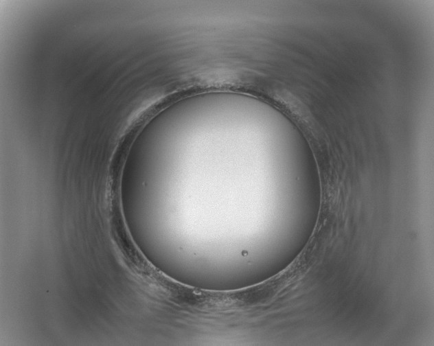 X0000067520583200604150202