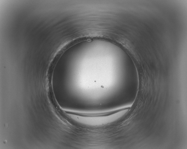 X0000067520584200604150202