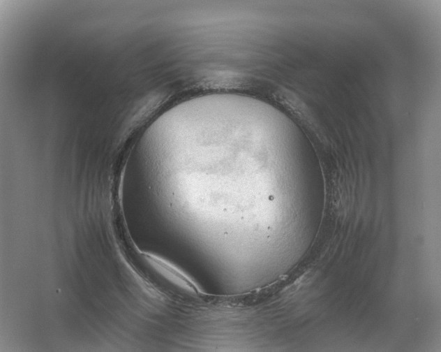 X0000067520586200604150202