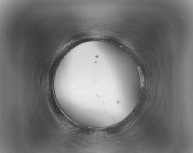 X0000067520587200604150202