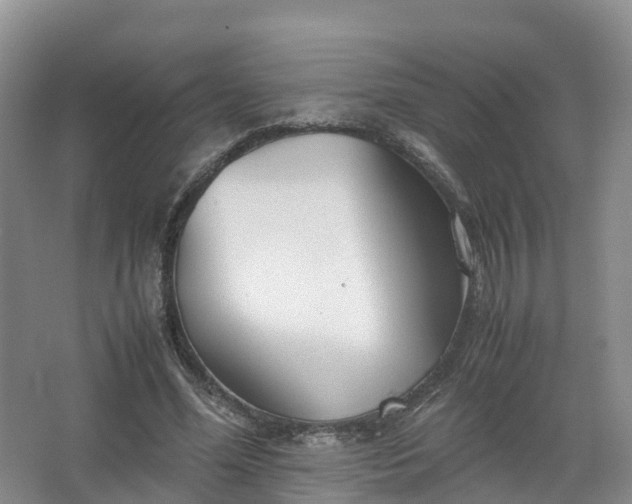 X0000067520588200604150202