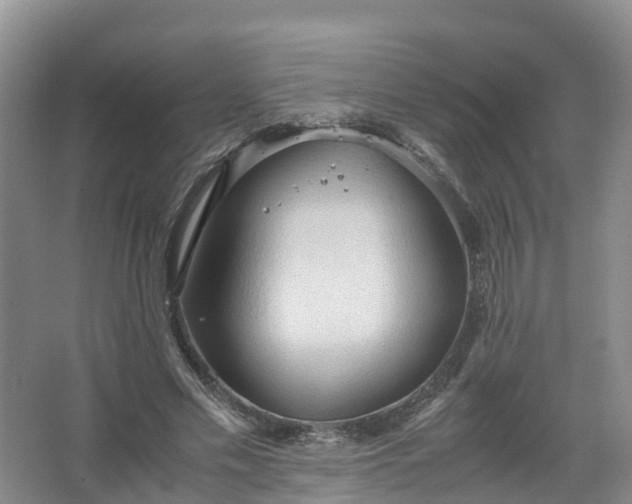 X0000067520589200604150202