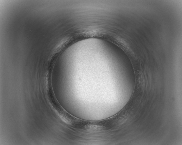 X0000067520590200604150202