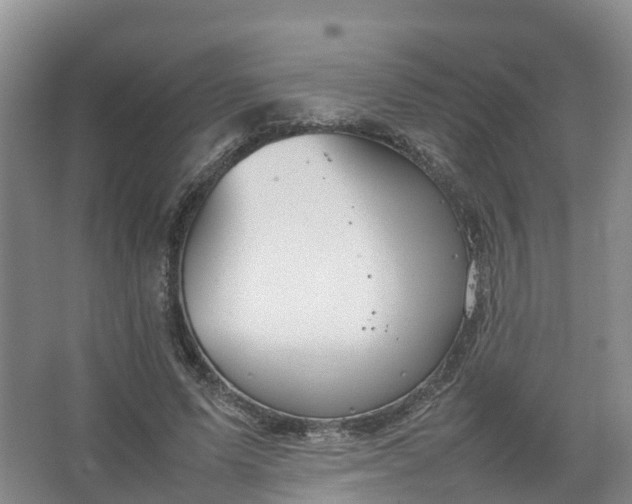 X0000067520591200604150202