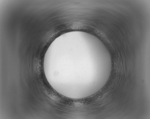 X0000067520592200604150202