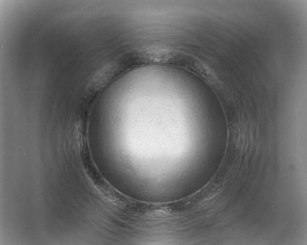 X0000067520594200604150202