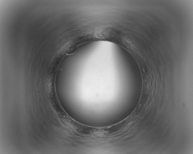 X0000067520595200604150202