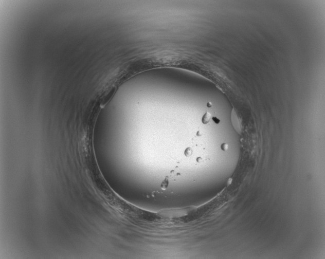 X0000067520597200604150202