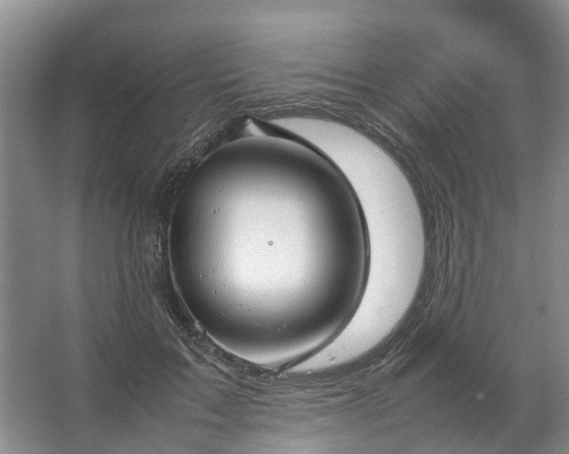 X0000067520603200604150202