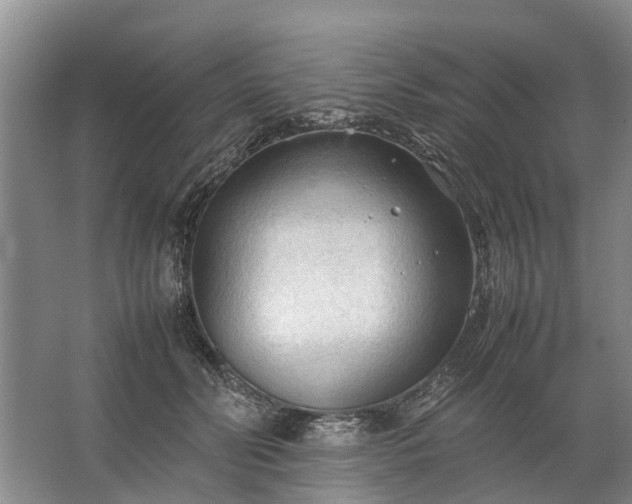 X0000067520606200604150202