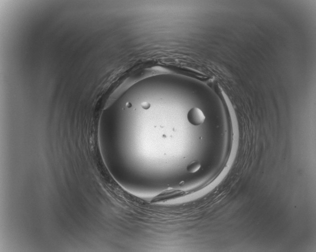 X0000067520607200604150201