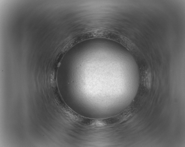 X0000067520610200604150201