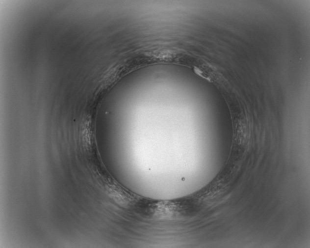 X0000067520612200604150201