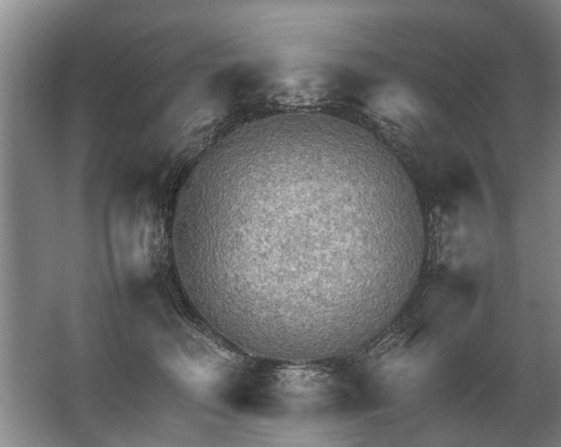 X0000067520614200604150201