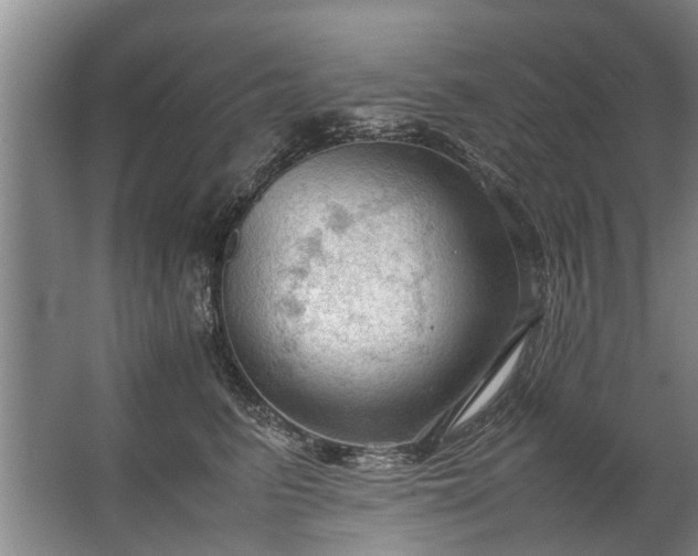 X0000067520615200604150201