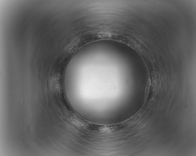 X0000067520616200604150201