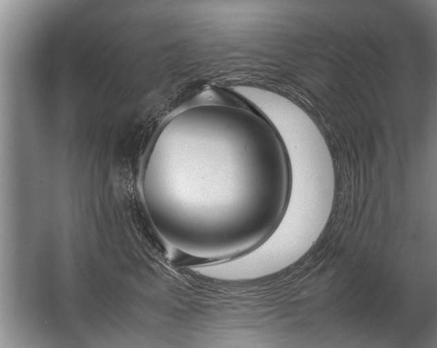 X0000067520617200604150201