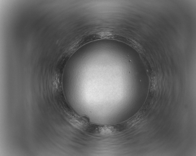 X0000067520618200604150201