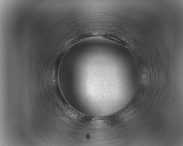 X0000067520620200604150201