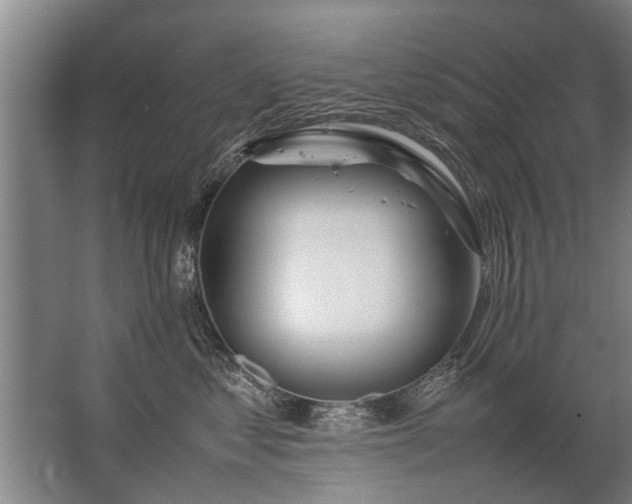 X0000067520621200604150201