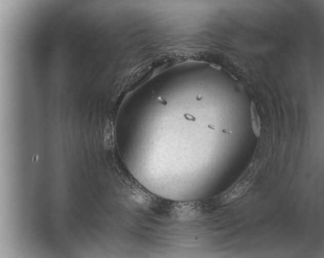 X0000067520624200604150201