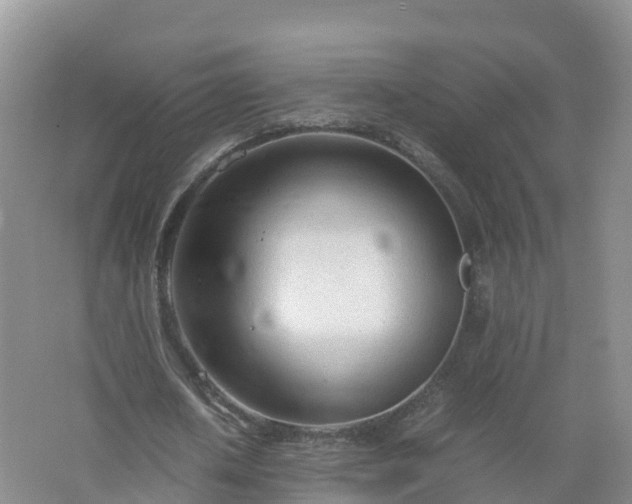 X0000067520626200604150200