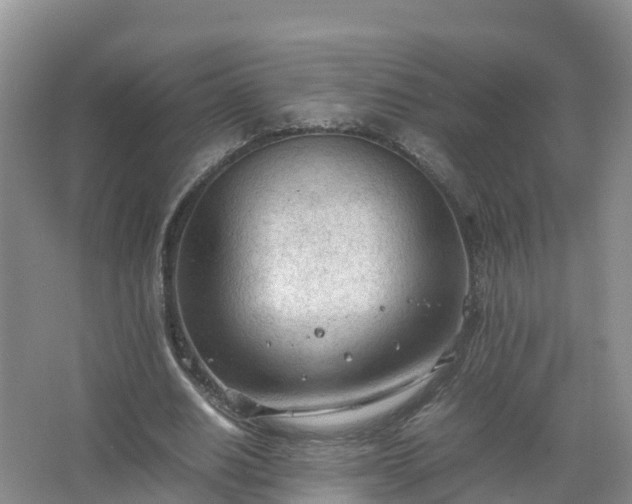 X0000067520630200604150200