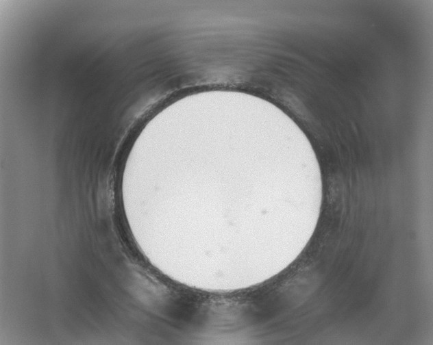 X0000067520632200604150201