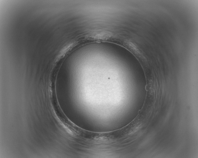 X0000067520634200604150201