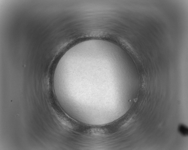 X0000067520636200604150201