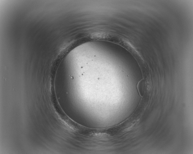 X0000067520637200604150201