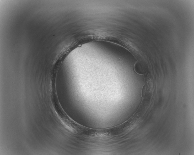 X0000067520638200604150201