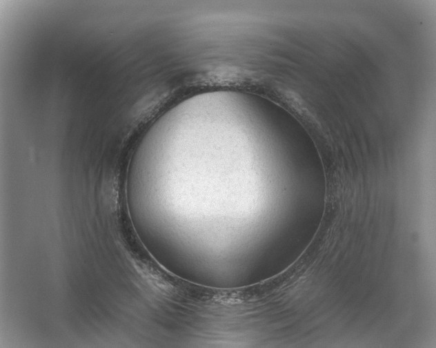 X0000067520640200604150201