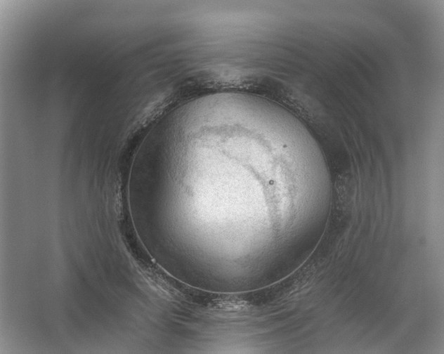 X0000067520642200604150201