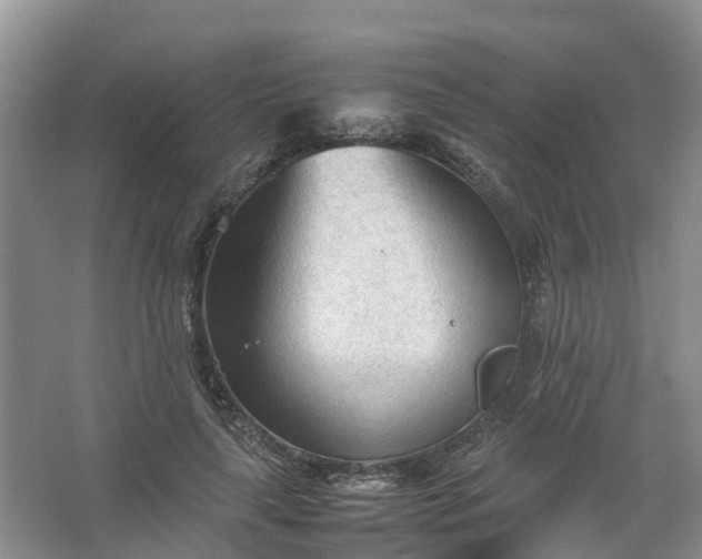 X0000067520643200604150201