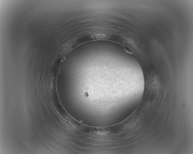 X0000067520645200604150201