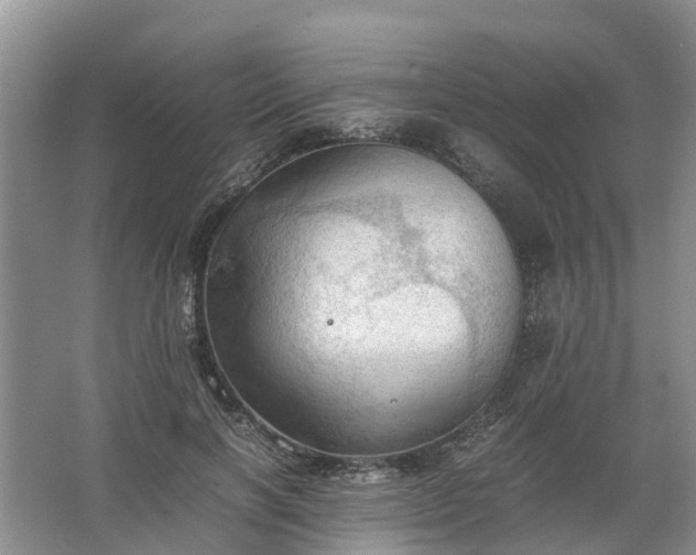 X0000067520646200604150201