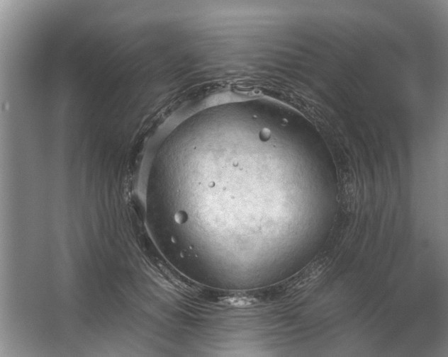 X0000067520654200604150201