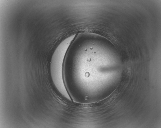 X0000067520658200604150201