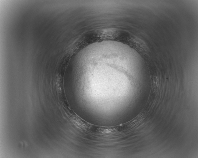 X0000067520663200604150201