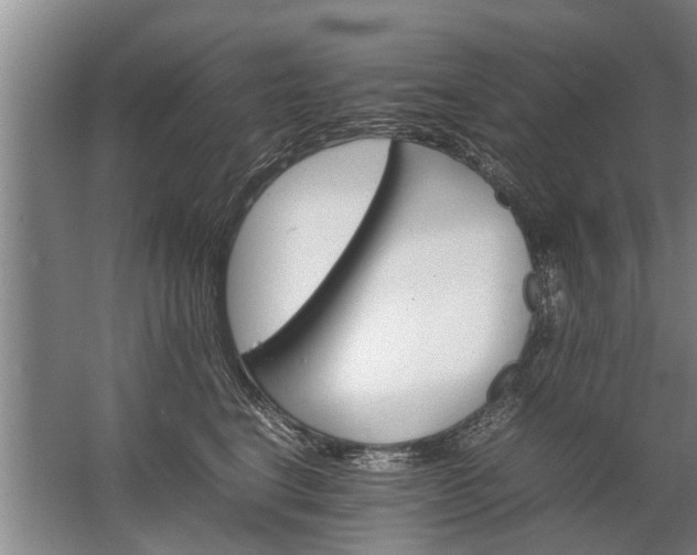 X0000067520664200604150201