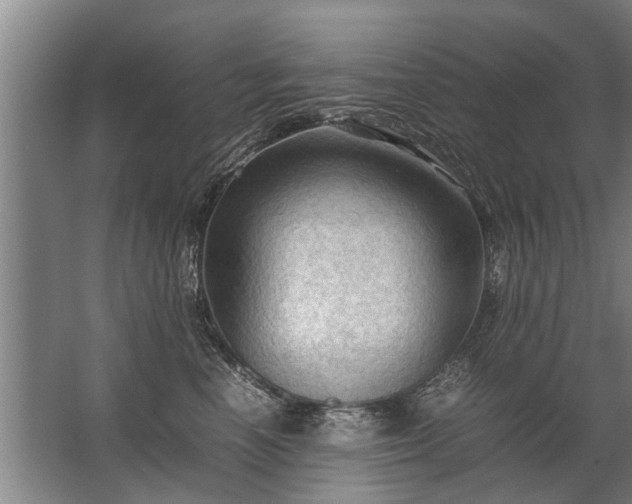 X0000067520666200604150201