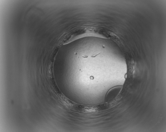 X0000067520667200604150201