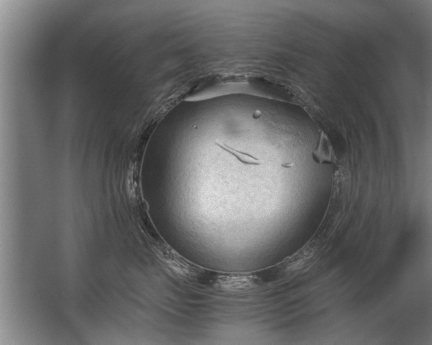 X0000067520671200604150201