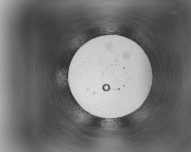 X0000067520672200604150201