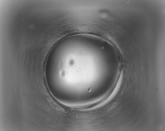 X0000067520673200604150200