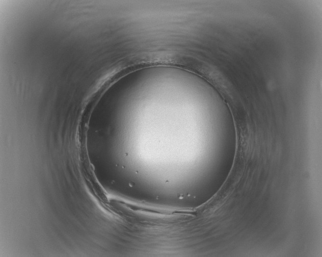 X0000067520674200604150200